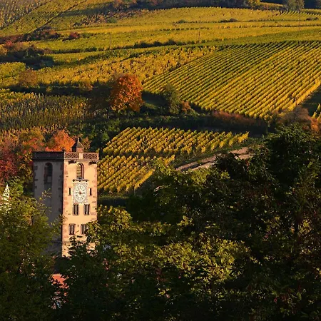 Au Nid D'hirondelles Daire *