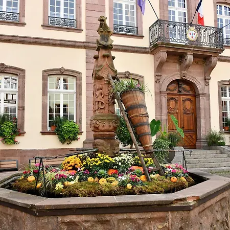 Au Nid D'hirondelles Daire *