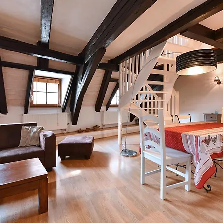 Daire Au Nid D'hirondelles Ribeauvillé